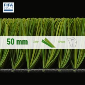 pasto CCG Energy C3N