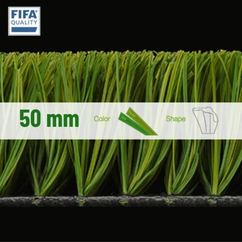 pasto CCG Energy C3N