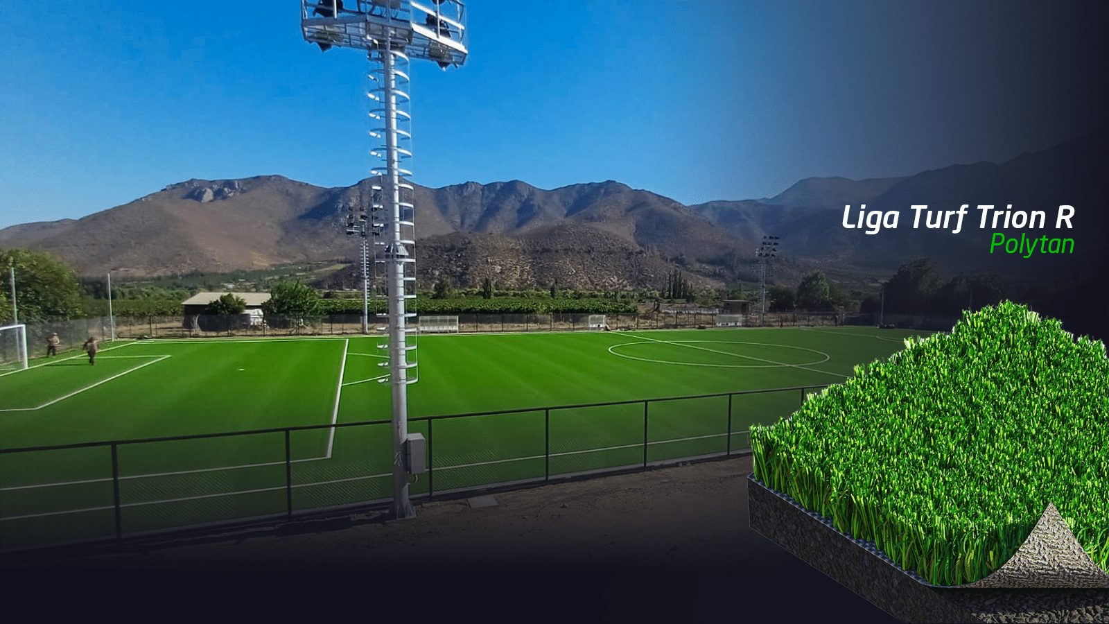 proyecto salamanca, pasto sin relleno